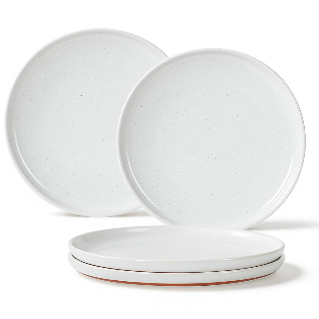 GZG Ceramic Dinner Plates, 10.25 Inch, Set of 4