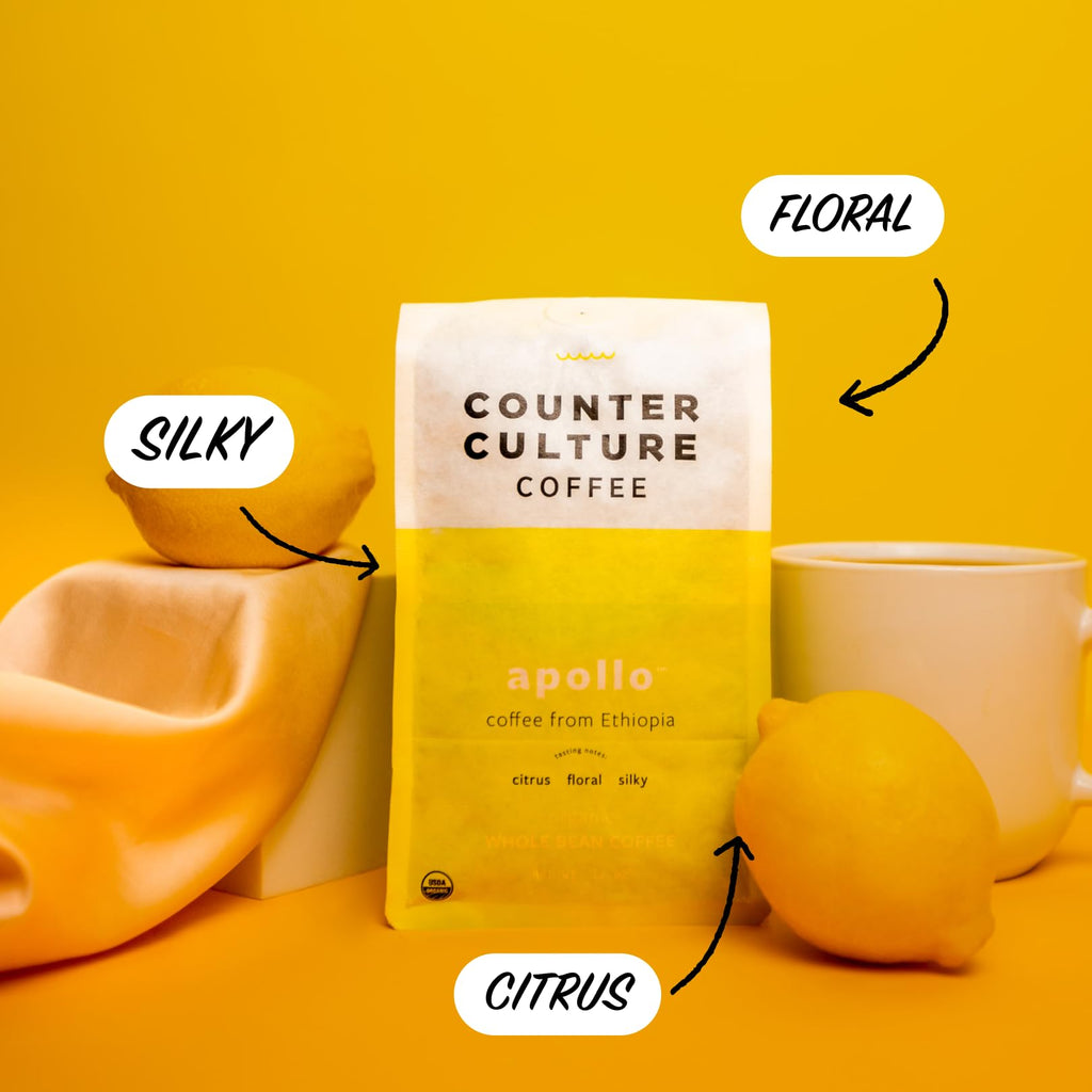 Counter Culture Whole Bean Organic Coffee (Apollo - Medium Roast) Citrus, Floral & Silky - Sustainably Sourced - B Corp Certified - Organic Coffee Beans - Kosher - Gluten Free & Nut Free - 12oz Bag