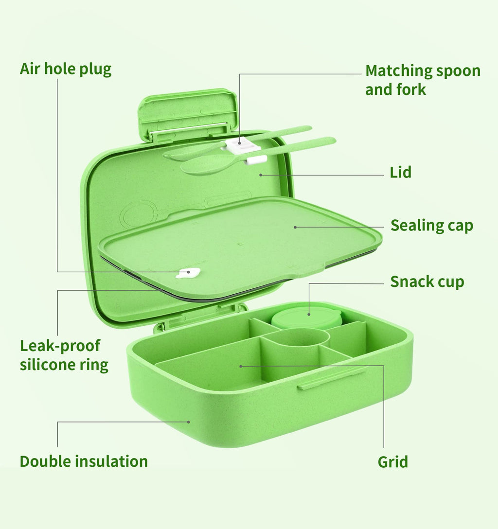 ANDMOON Bento Lunch Box with Kids/Adults, 5 Compartments Leakproof Lunch Container with Dressing Cup, Eco-Friendly Double Insulated Boxes, Dishwasher and Microwave Safe, BPA-Free (green)