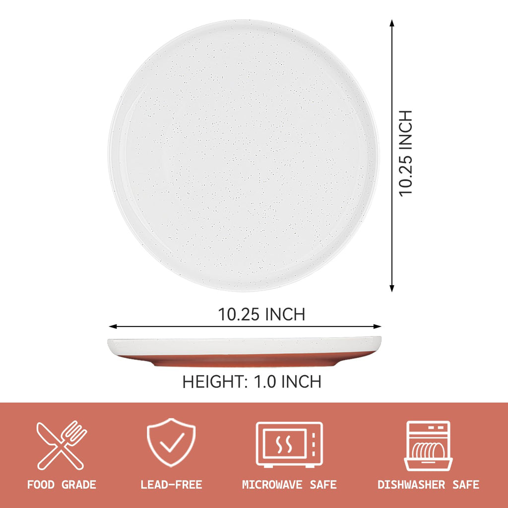 GZG Ceramic Dinner Plates, 10.25 Inch, Set of 4