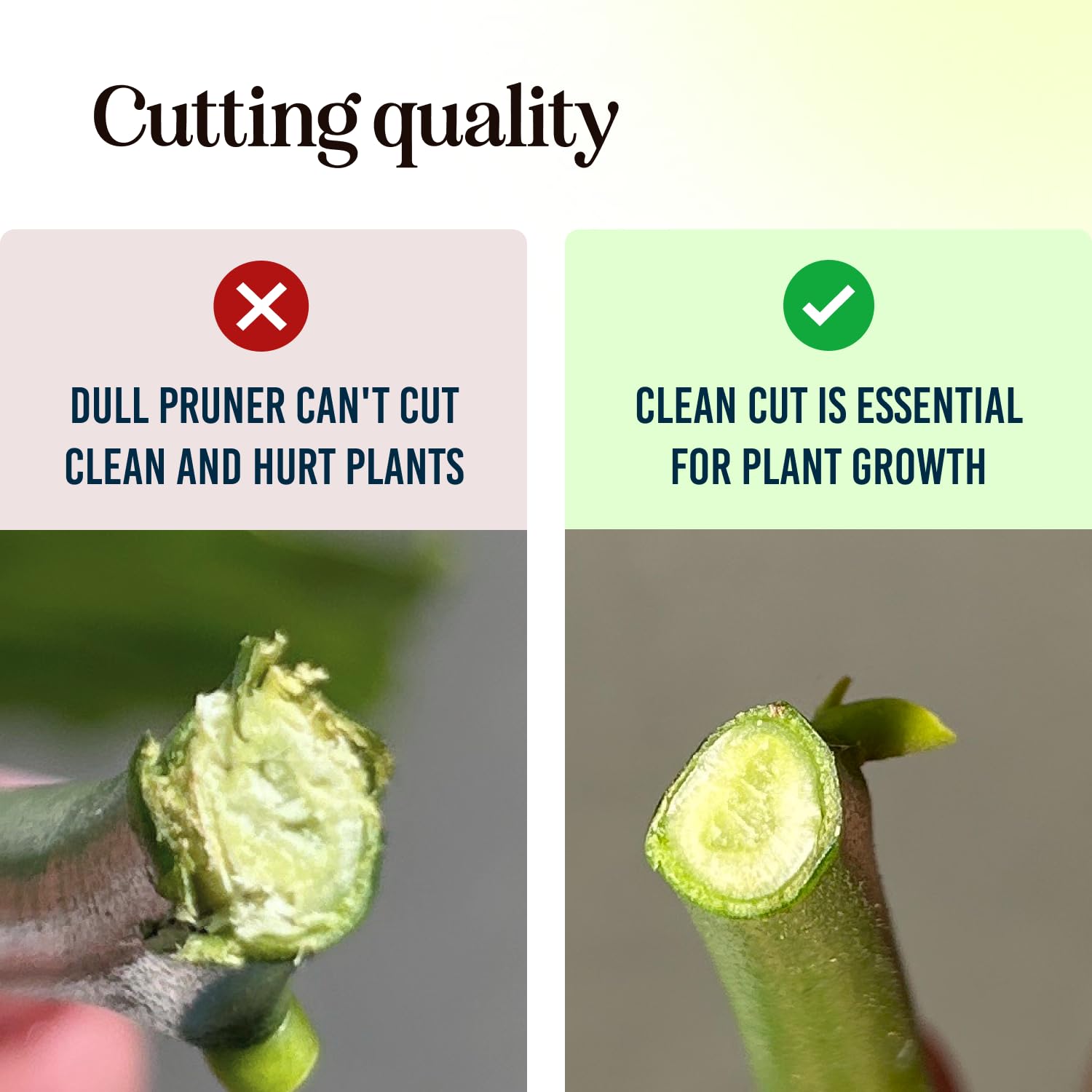 Ultra Sharp Pruning Shears Hedge Clipper – Cuts 3X Easier, Dual-Size Opening, Weak Hand Arthritis Clippers, Rust-Resistant Pruner, Effortlessly Cuts