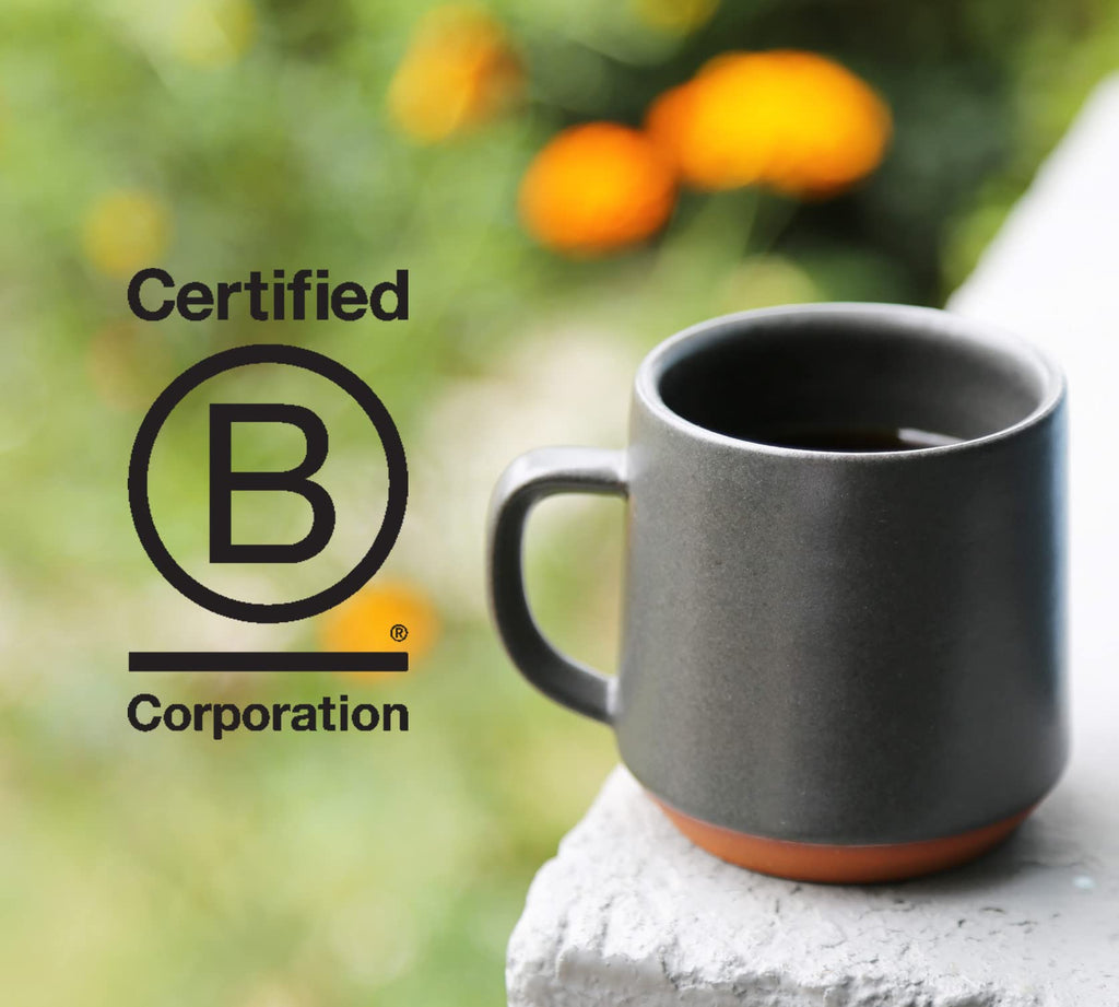 Counter Culture Whole Bean Organic Coffee (Apollo - Medium Roast) Citrus, Floral & Silky - Sustainably Sourced - B Corp Certified - Organic Coffee Beans - Kosher - Gluten Free & Nut Free - 12oz Bag