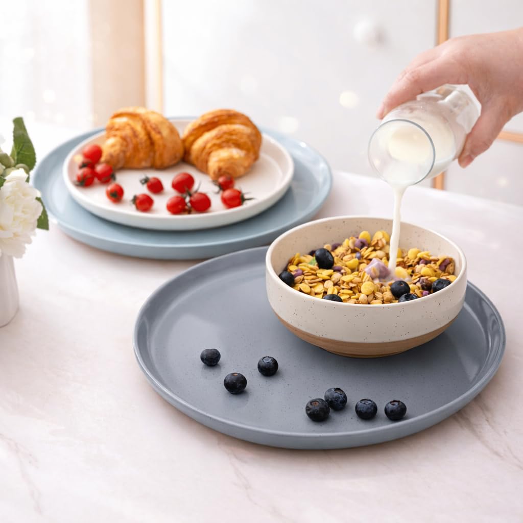 AmorArc Dinnerware Sets for 8, 24 Pieces Ceramic Plates and Bowls Set