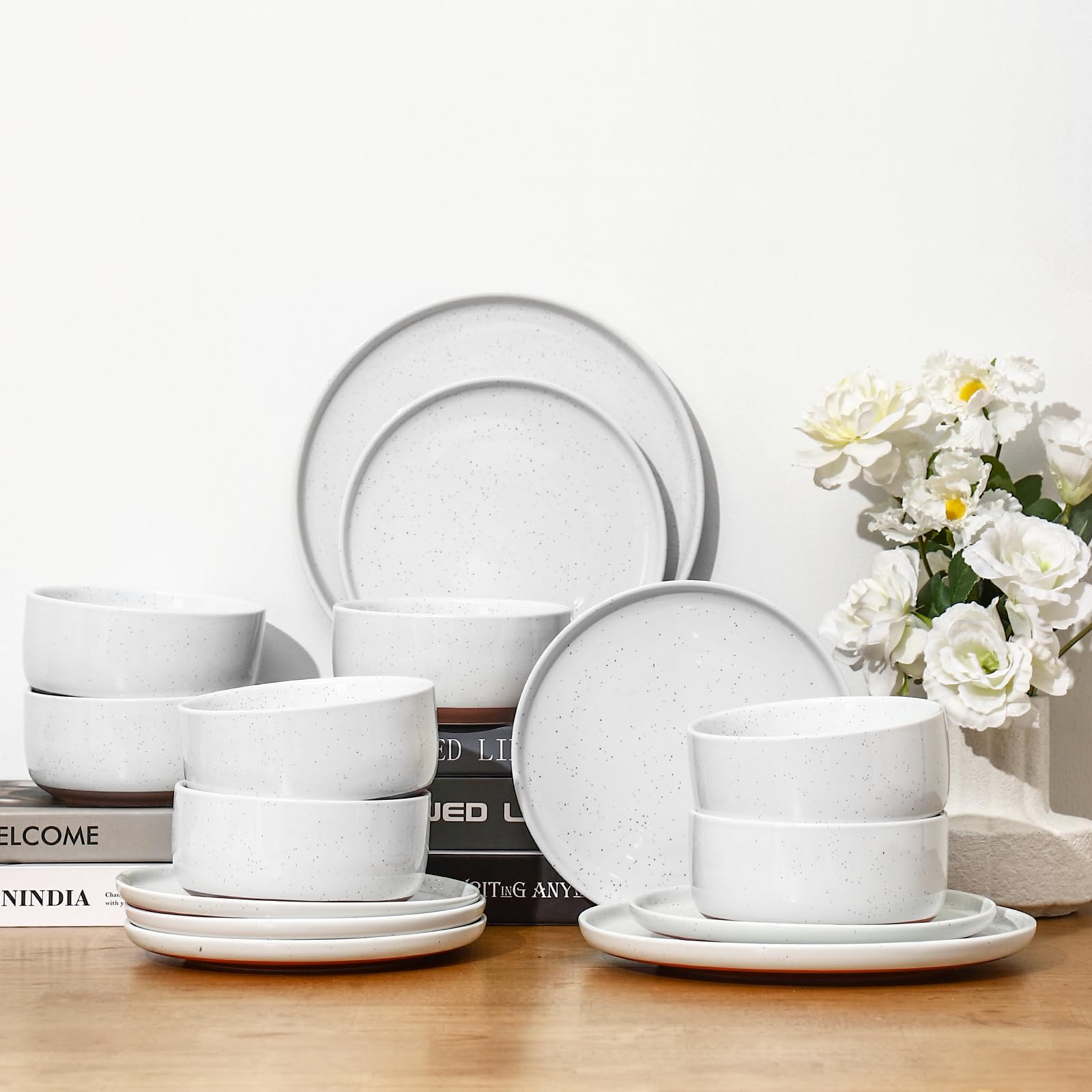 GZG Ceramic Dinner Plates, 10.25 Inch, Set of 4