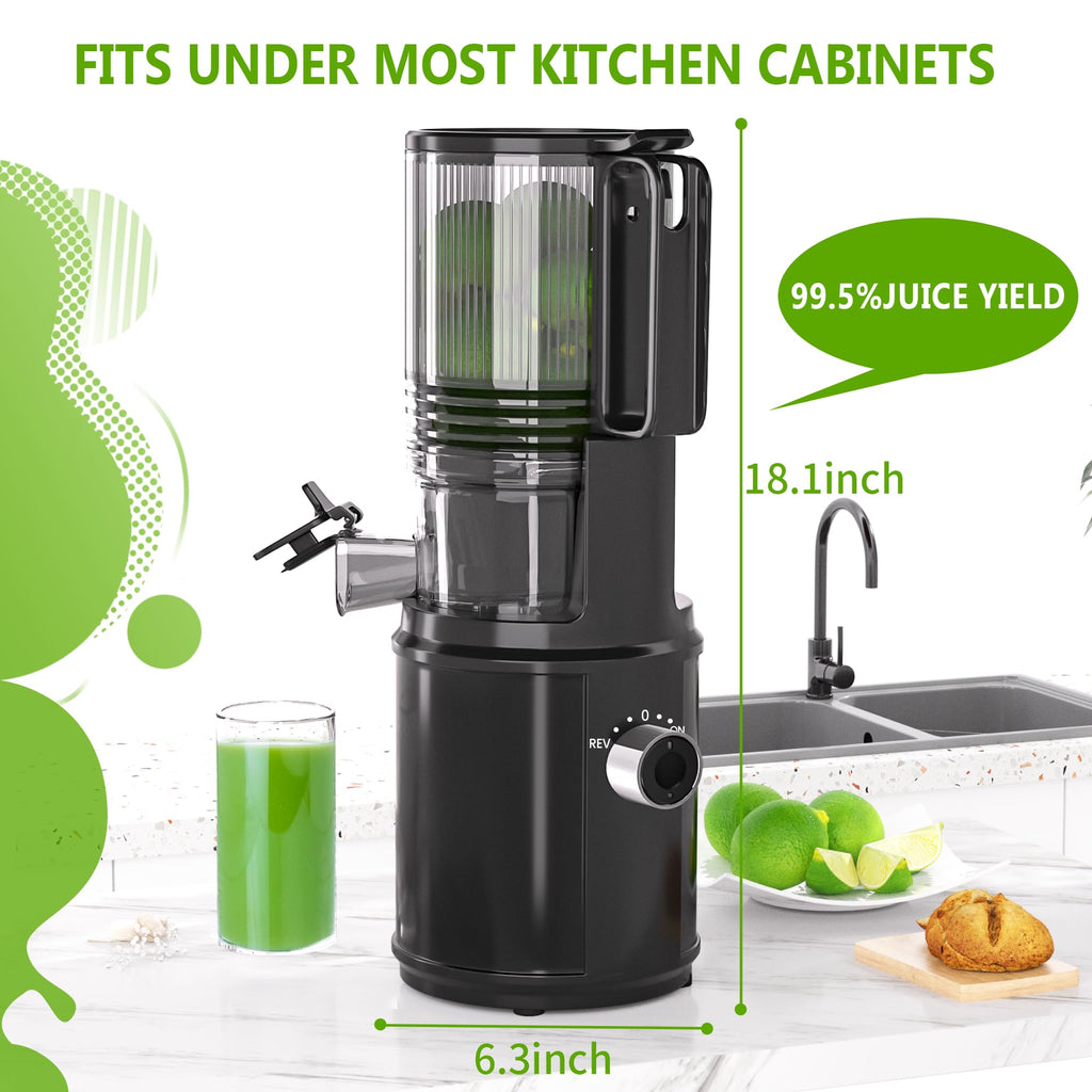 Cold Press Juicer – 6.5" Extra Large Feed Chute Fit Hands-Free Electric Masticating Juicer Machine, 350W Slow Masticating Juicer Machine for Whole Fruit and Vegetables – Easy Cleanup & Assembly.