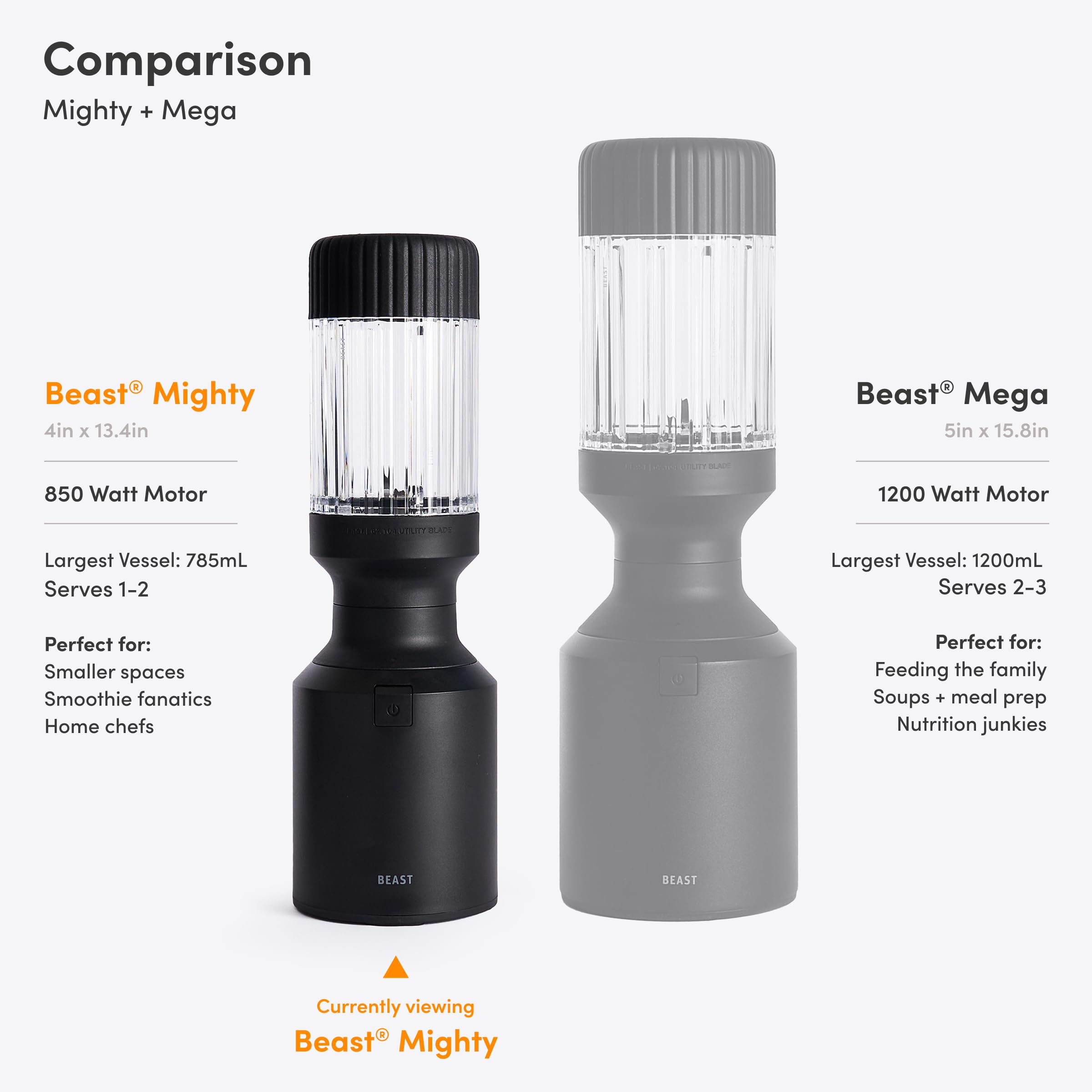 Beast Mighty 850 Plus Personal Blender, XL Vessel, Mist, 850W