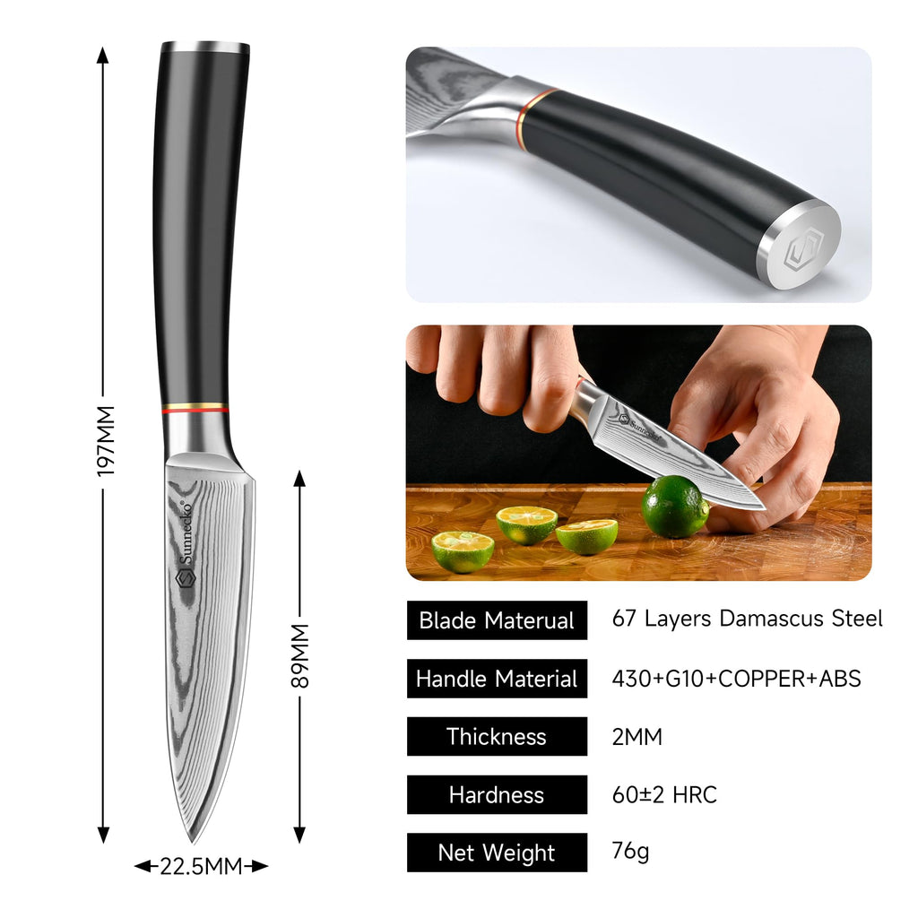 Sunnecko Damascus Paring Knife,Japanese VG10 Core Steel Damascus Fruit Knife,Professional Razor Sharp Small Kitchen Knives with Knives Sharpner