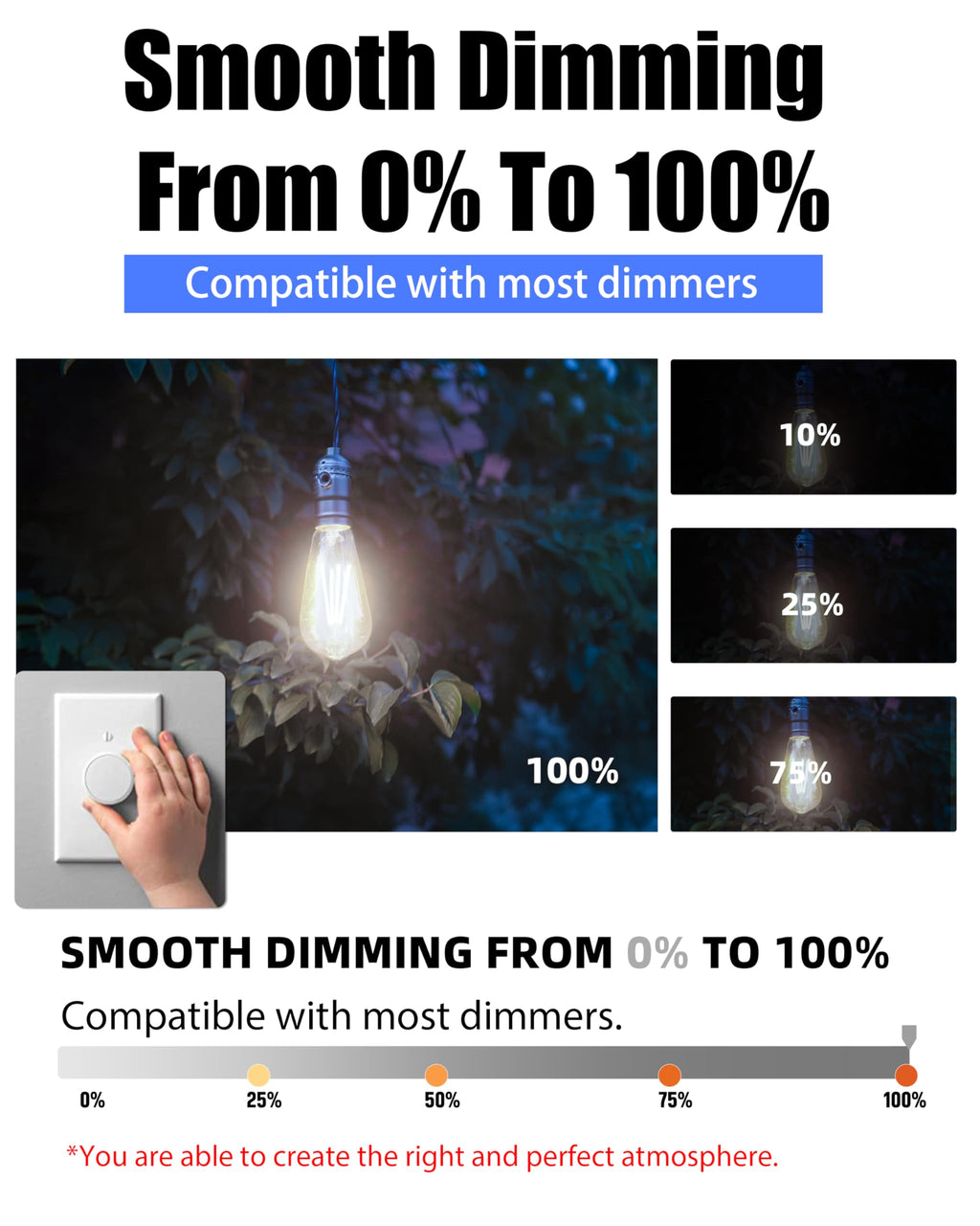 ST19 Dimmable LED Edison Bulb, 5.5W (60W Equivalent) 500LM CRI 95+, 4000K Cool White, E26 Medium Base Vintage Filament, Clear Glass, Standard Type A Lamp for Kitchen, Bathroom, Bedroom, 6 Pack