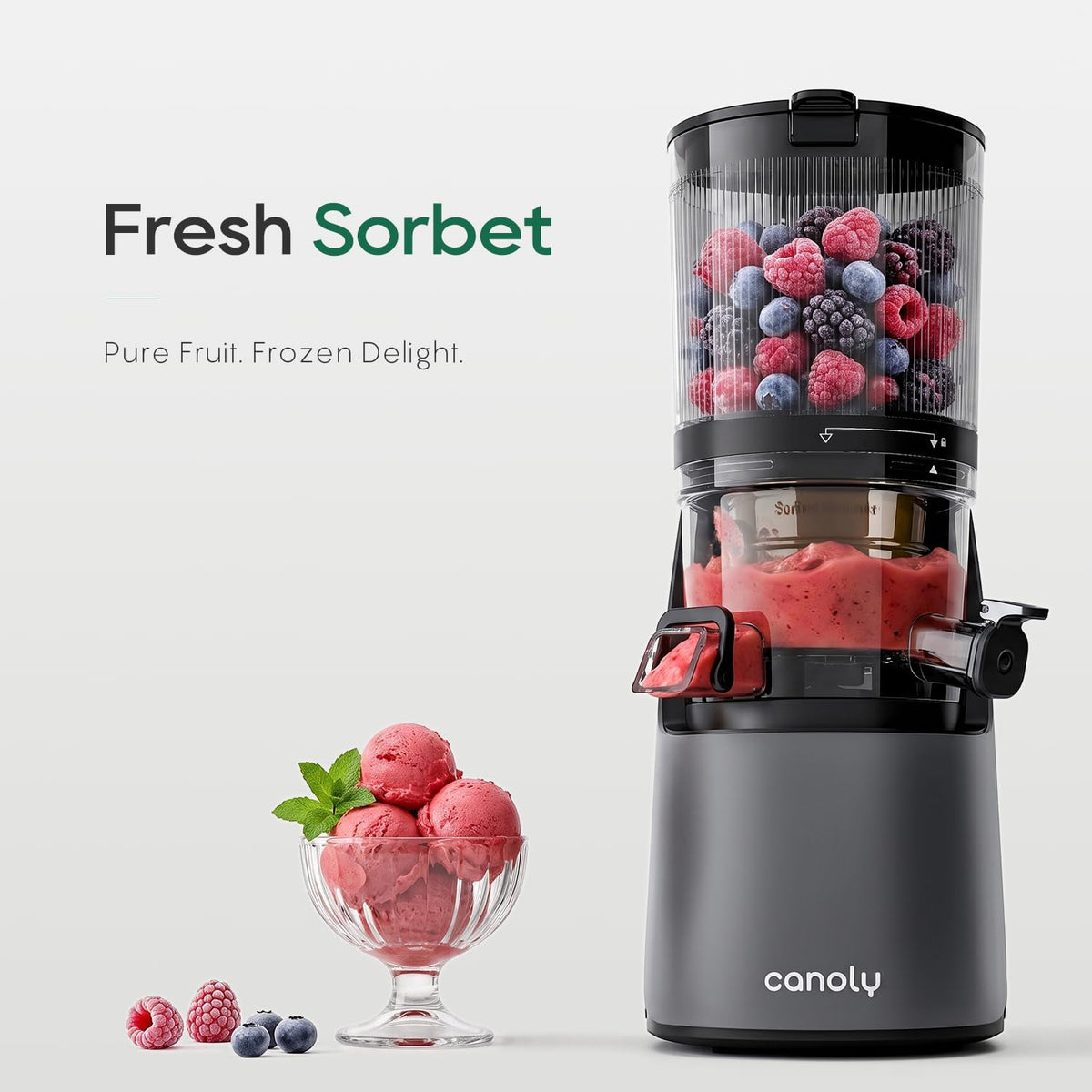 Canoly 3-in-1 Cold Press Juicer C16, Makes Juice & Sorbet & Nut Milk