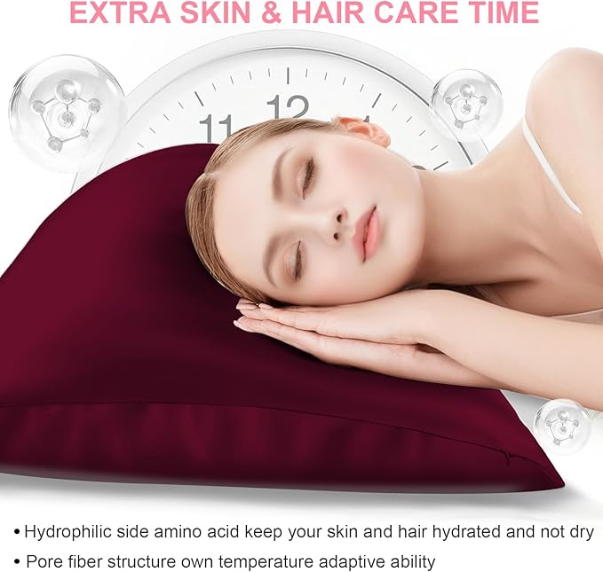 Mulberry Silk Pillow Cases 2 Pack Queen Size 20x30 Inches with Hidden Zipper, Ultra Smooth and Soft Breathable Cooling Silk Satin Pillowcase Set of 2, Better for Hair and Skin, Gifts for Women Men