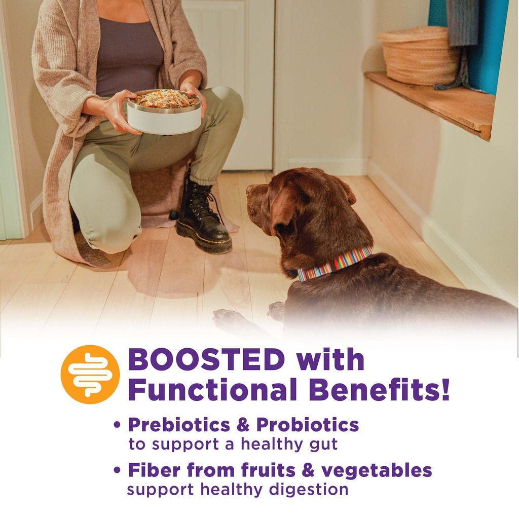 Wellness Bowl Boosters Digestive Health Dog Food Topper with Freeze Dried Pieces for Small, Medium, and Large Breeds, Sensitive Stomach, Grain Free, Natural, Chicken Recipe, 4 oz Bag
