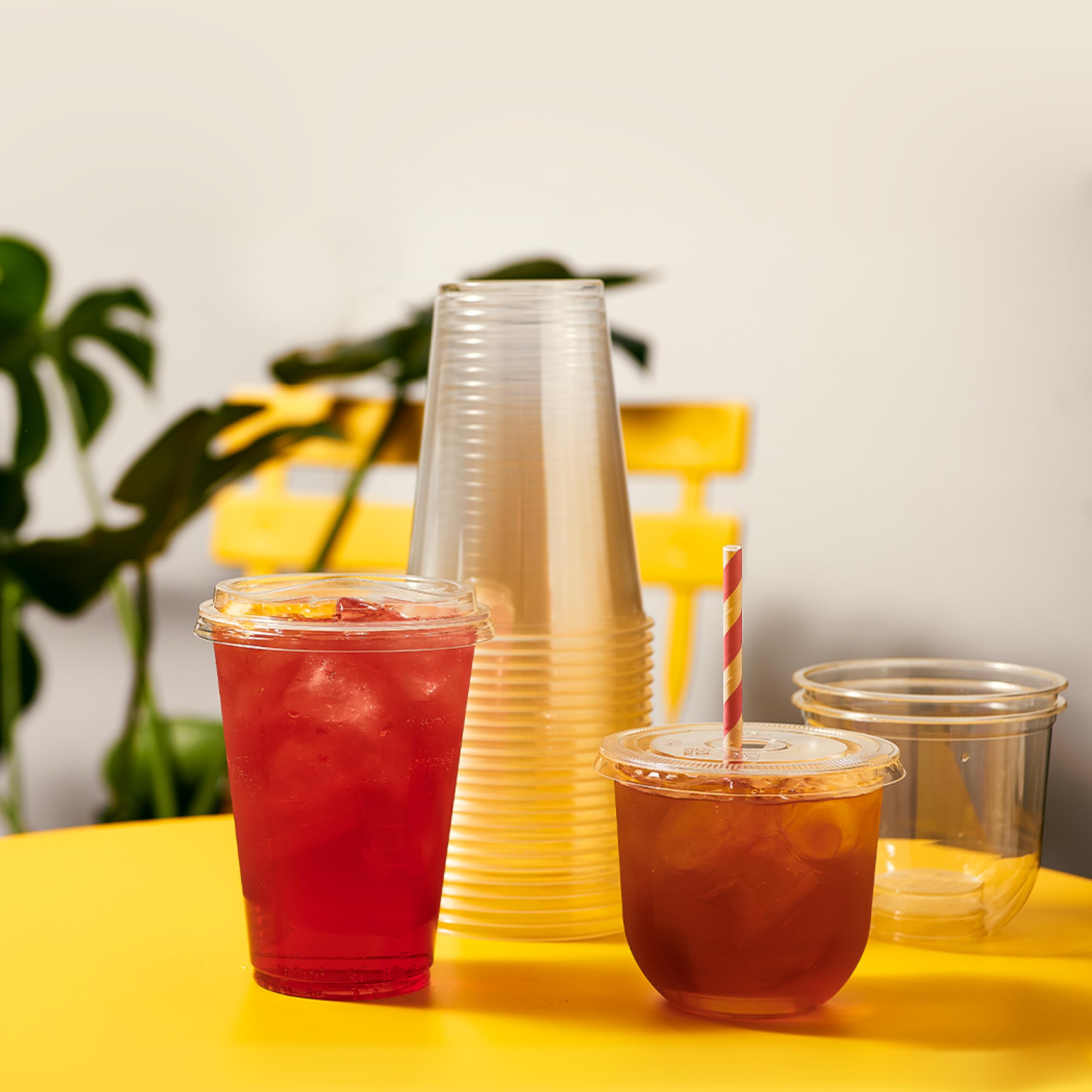 TOSSWARE NATURAL Arc - Plant Based Clear Cold Cups 12 oz - Plastic Alternative for Parties, Bachelorettes, Weddings - Recyclable - Set of 50