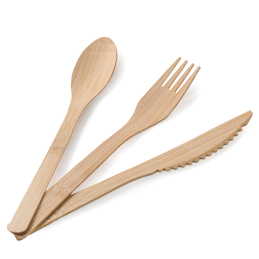 2 ZEBRAZ Bamboo Spoons 300 Count - Bulk Disposable Utensils Catering