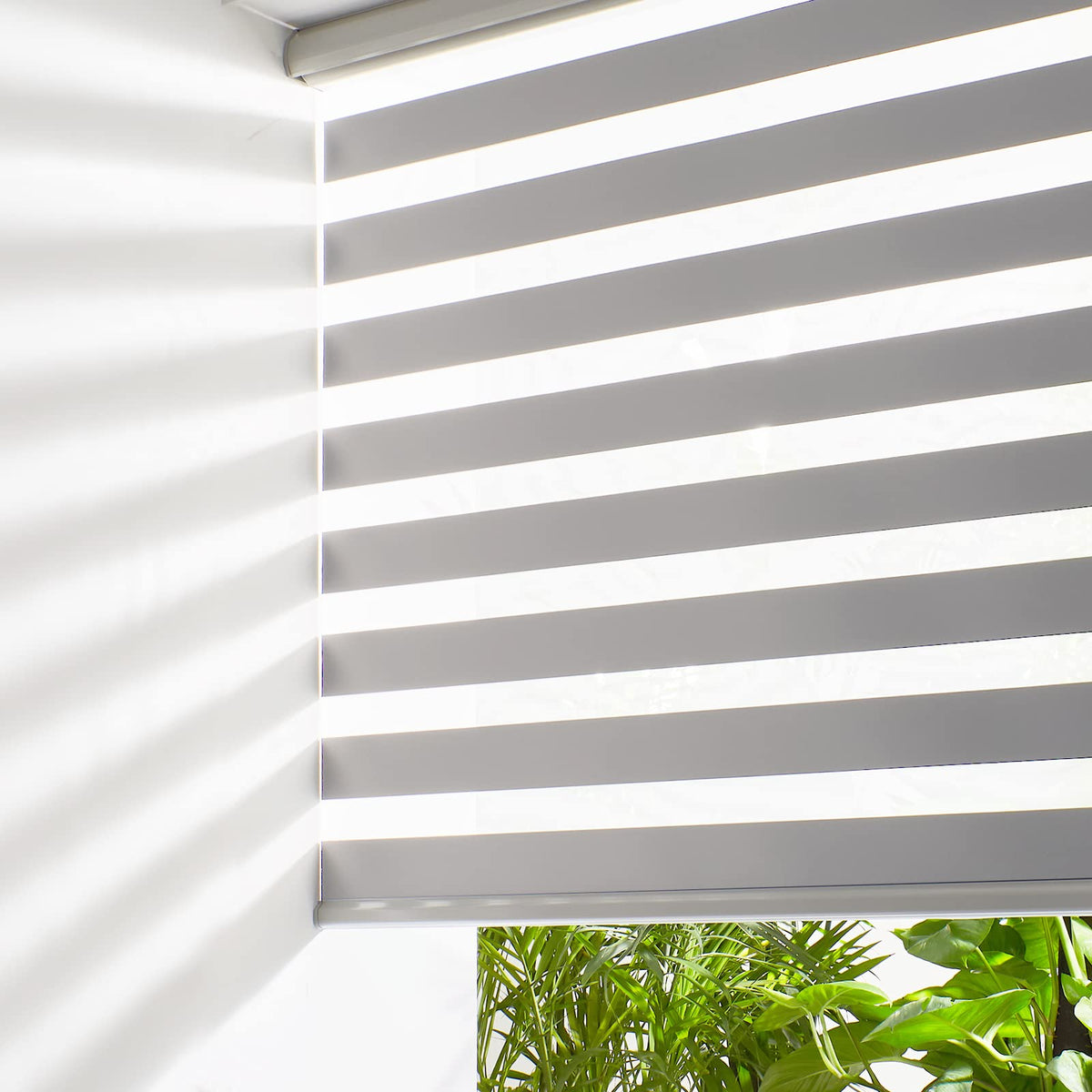 Persilux Cordless Zebra Blinds for Windows Free-Stop Roller Windows Shades (24" W X 72" H, Black) Dual Layer Light Control for Day and Night, Light Filtering Sheer Shades for Home, Bedroom