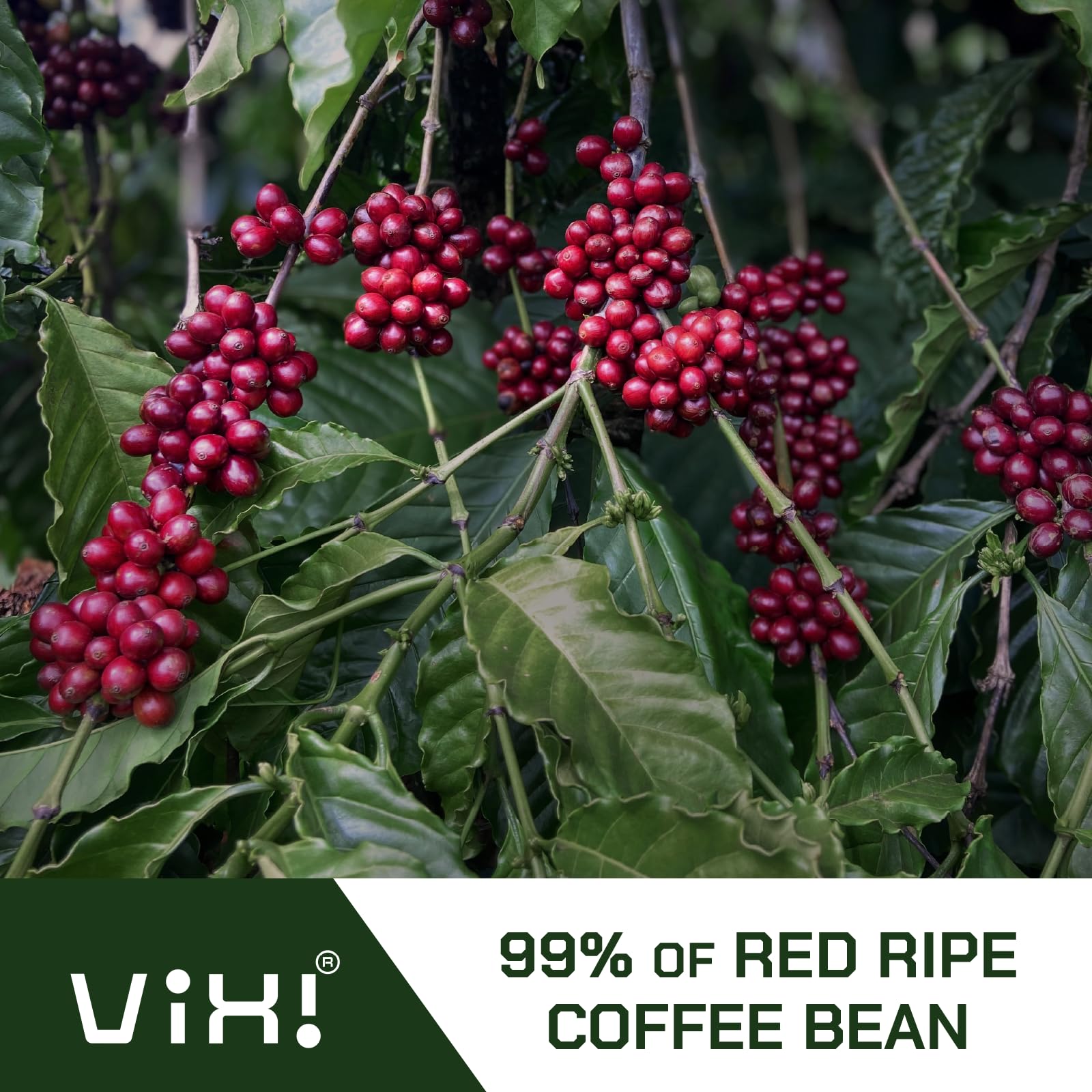 VIXI Drip Coffee Cinnamon Flavor, 16 Bags, Natural Vietnamese Ground Coffee, Blended, Medium Roast, Hanging Ear, Disposable, Balanced Taste, Single Serve, Perfect for Camping
