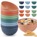 HOTEC 12-PACK BPA Free Unbreakable Plastic Cereal Bowls - Microwave & Dishwasher Safe Soup Salad Camping Bowls, 26OZ, Multicolor