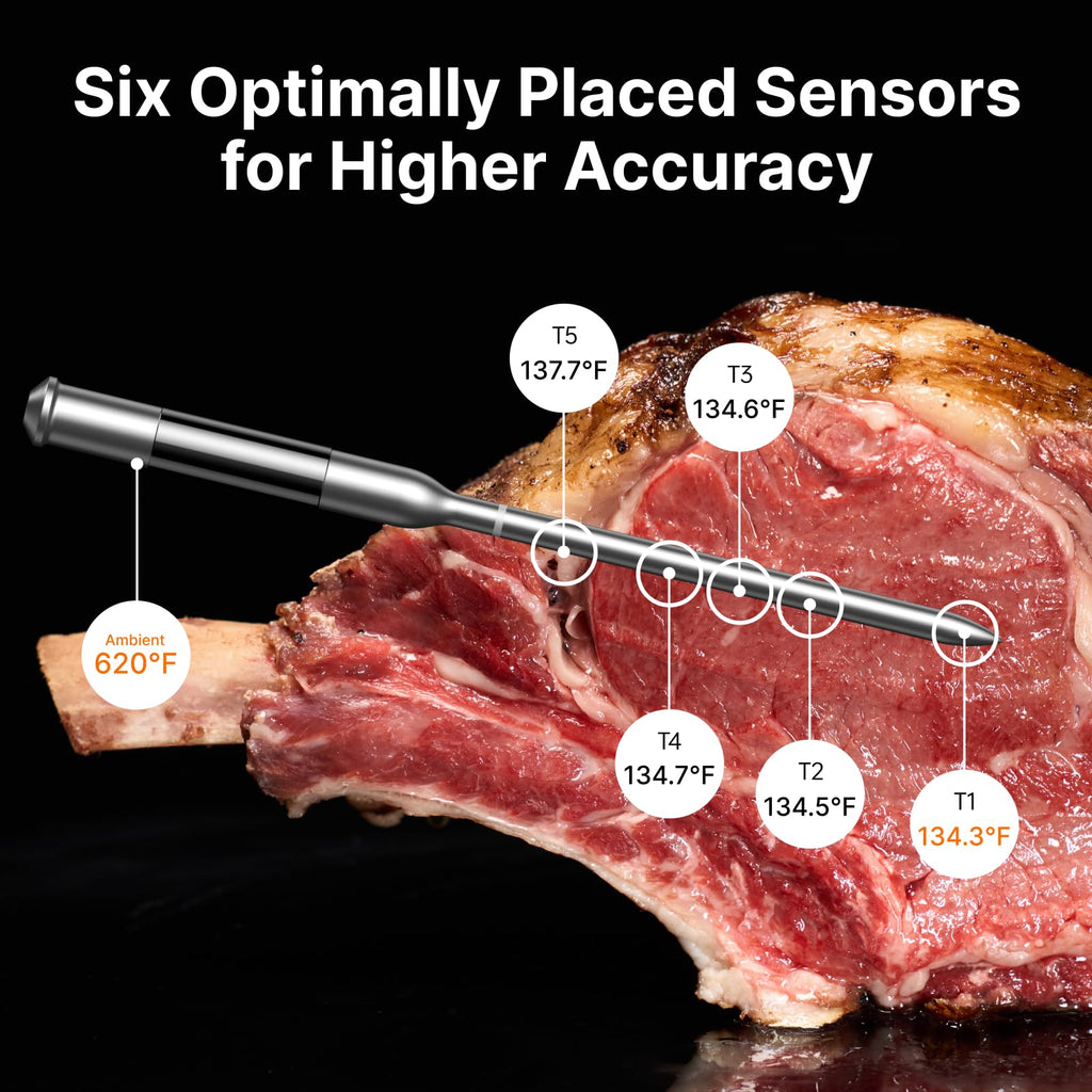Typhur Sync Gold Dual Gift Set, WiFi Wireless Meat Thermometer with Case