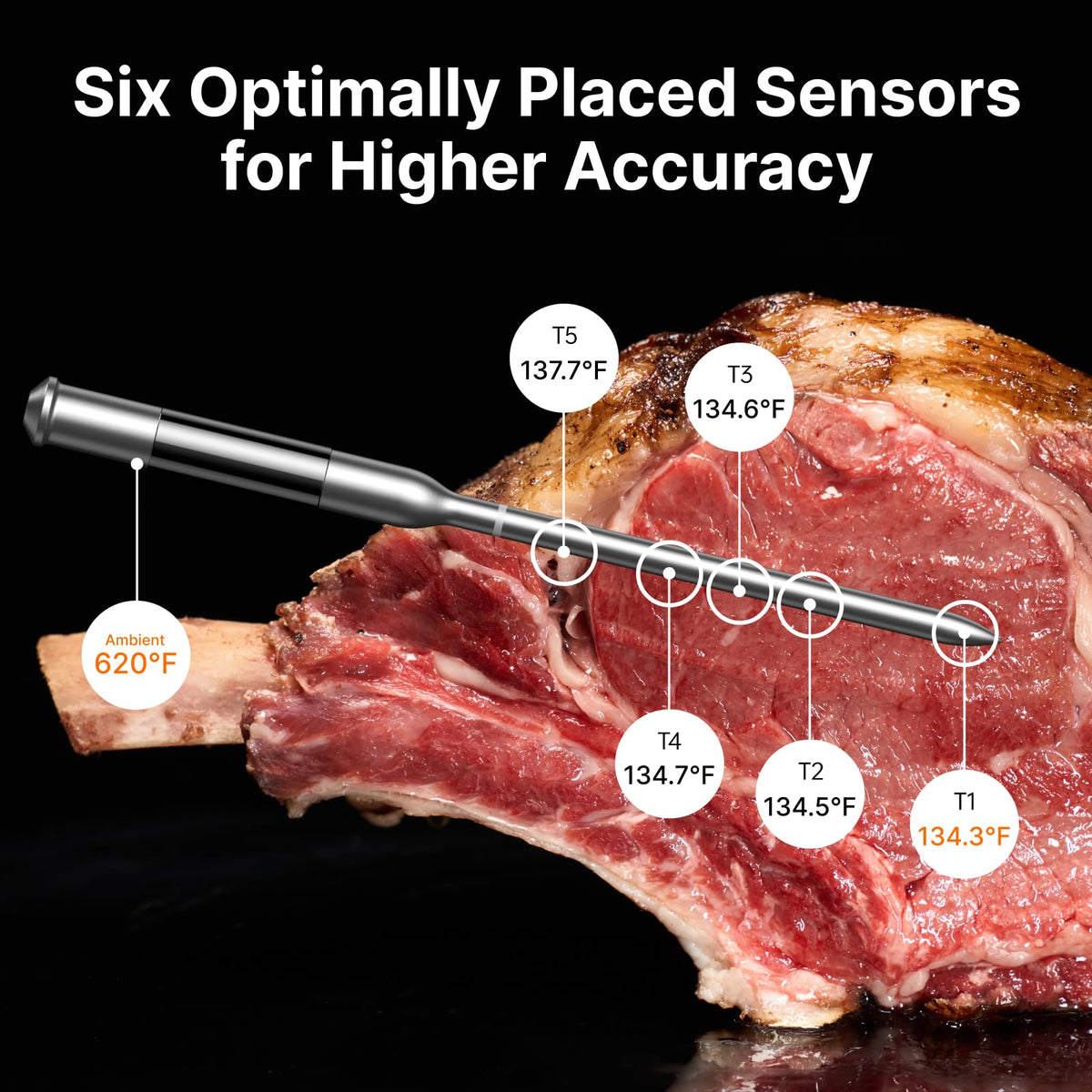 Typhur Sync Gold Dual Gift Set, WiFi Wireless Meat Thermometer with Case