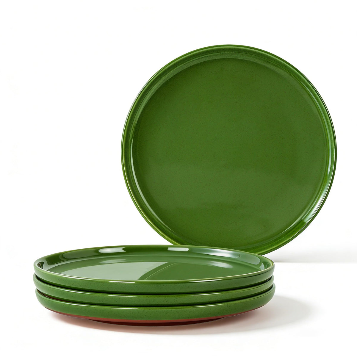 GZG Ceramic Dinner Plates, 10.25 Inch, Set of 4