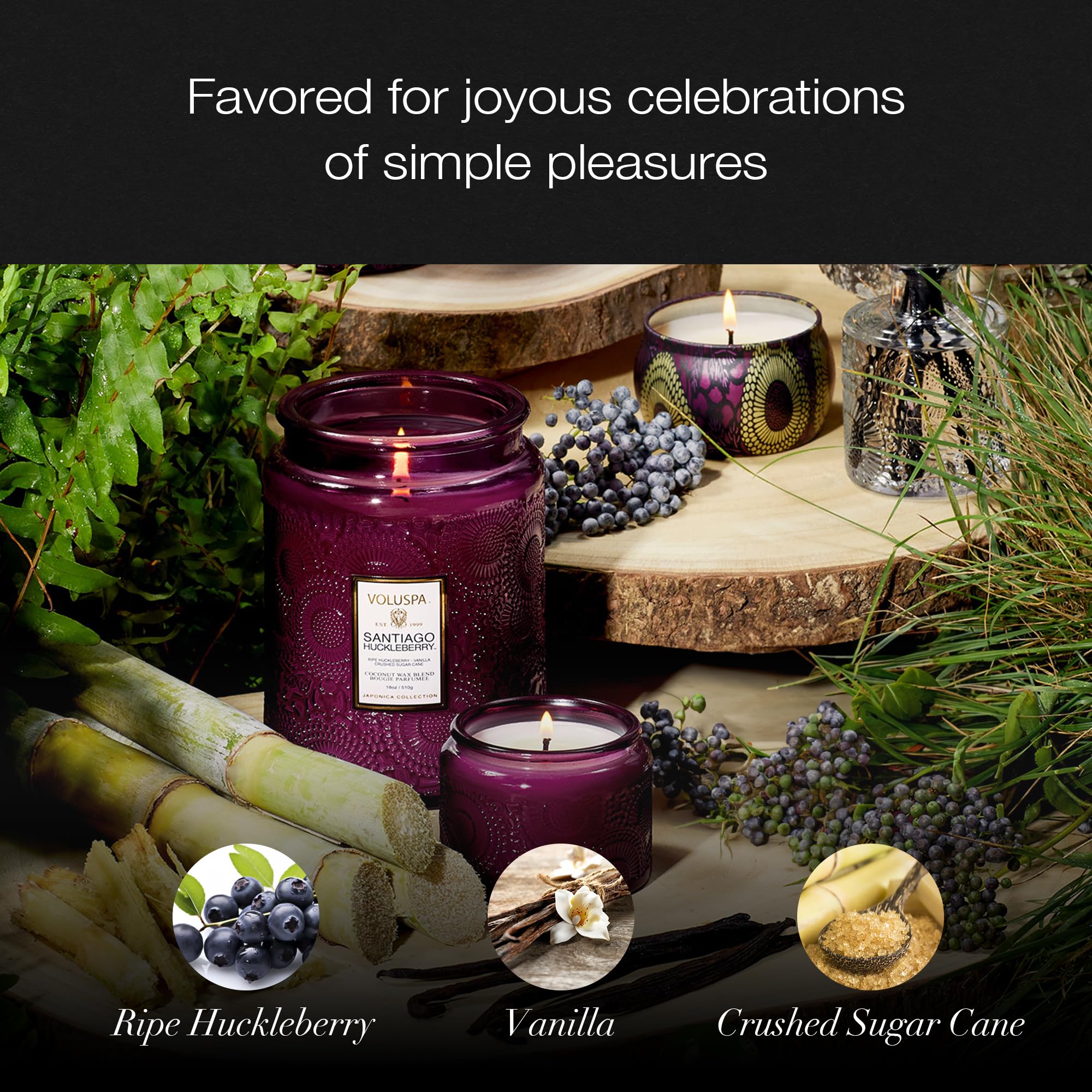 Voluspa Santiago Huckleberry Large Scented Candle Jar 18 Oz, 100 Hr Burn