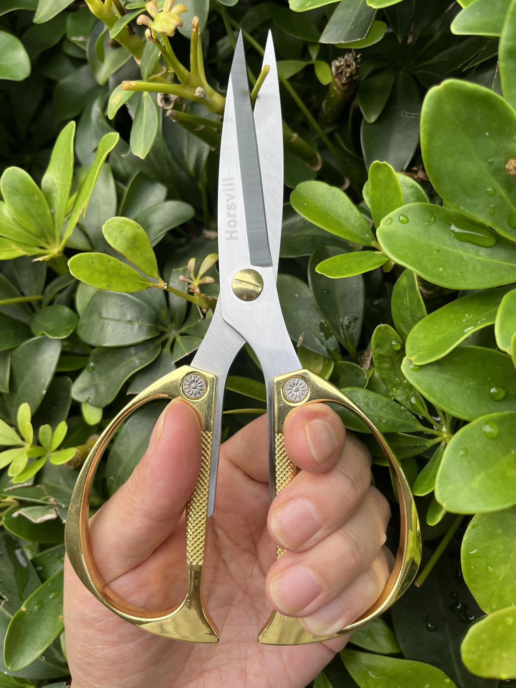 Horsvill Indoor Plant Shears and Garden Scissors, Houseplant Shears Made of Japan SK5 Stainless Steel, Flowers Herbs and Plant Cutters, Clippers, Trimmers, Loppers, Bonsai Plant Pruning Scissors