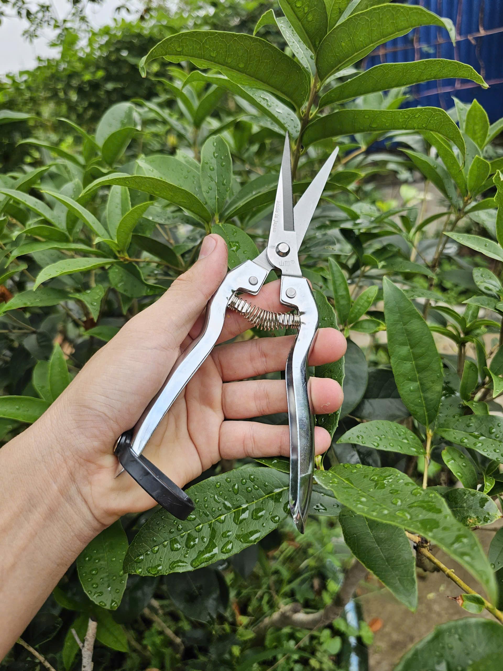 Pruning Shears Set of 3 – SK5 Steel Hand Pruners & Garden Clippers with Non-Slip Handle, Bonsai Shears for Fruit Trees, Flowers & Small Plants