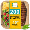 200 Pack 10” Square Palm Leaf Plates – Heavy Duty & Sturdy, Better Than Paper or Plastic – Bulk Party Plates for Catering, Party, BBQ, Weddings & Events – Eco Friendly, Compostable
