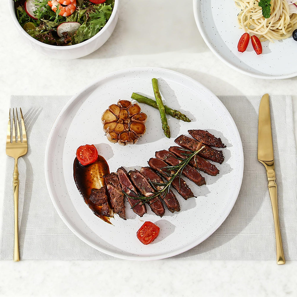 GZG Ceramic Dinner Plates, 10.25 Inch, Set of 4