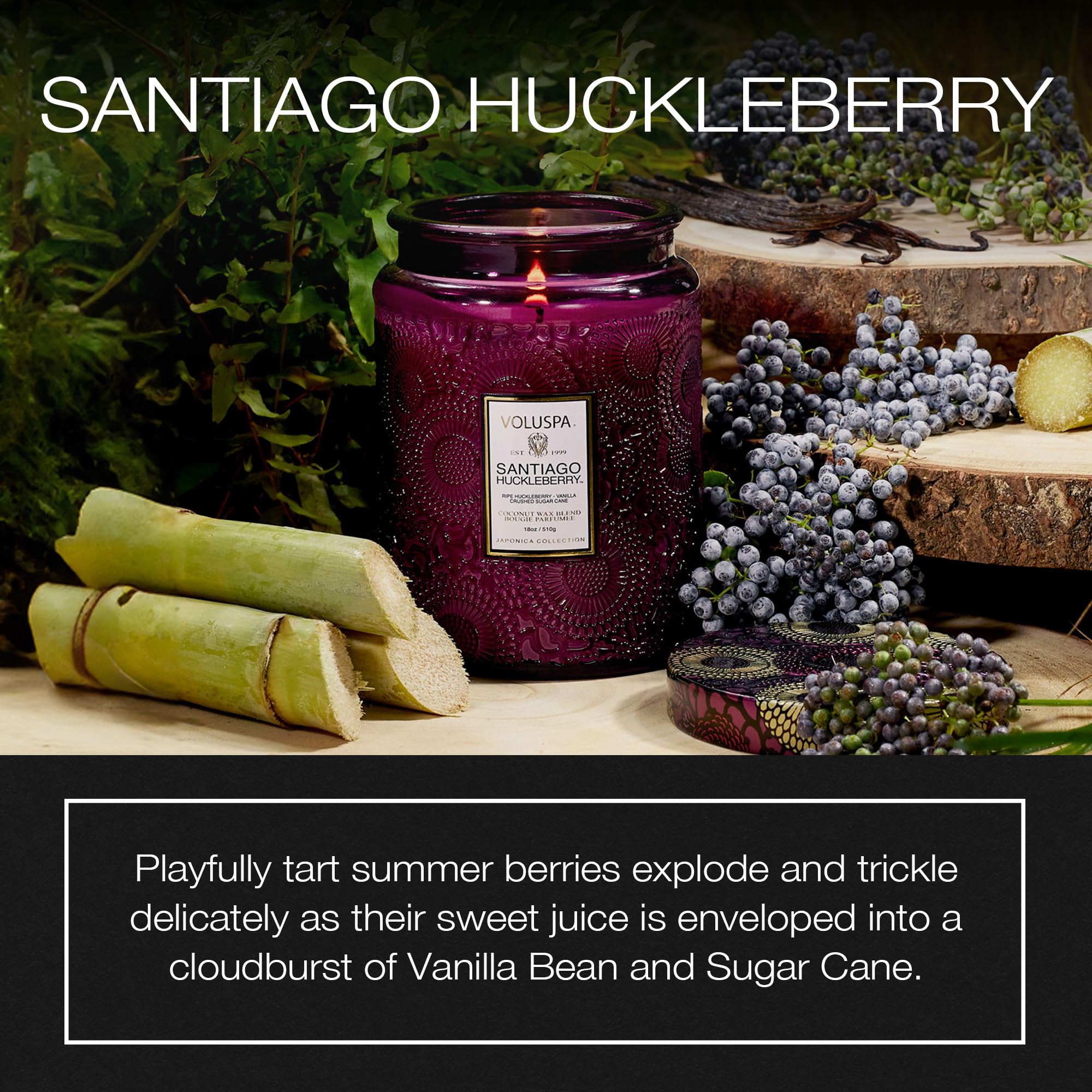 Voluspa Santiago Huckleberry Large Scented Candle Jar 18 Oz, 100 Hr Burn