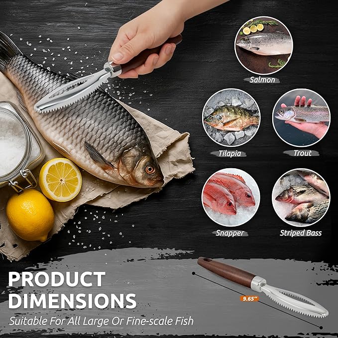 Dugato Fish Scale Remover Tool with Wooden Handle – Stainless Steel Fish Scaler Scraper for Quick & Easy Fish Cleaning – Rustproof Serrated Edge Seafood Descaling Tool for Kitchen & Outdoor Use
