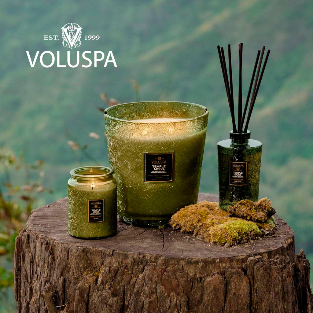 Voluspa Temple Moss, Large Candle Jar, 18oz, Coconut Wax Blend, Scented Candles for Home, 100 Hour Burn Time, Handcrafted in the USA