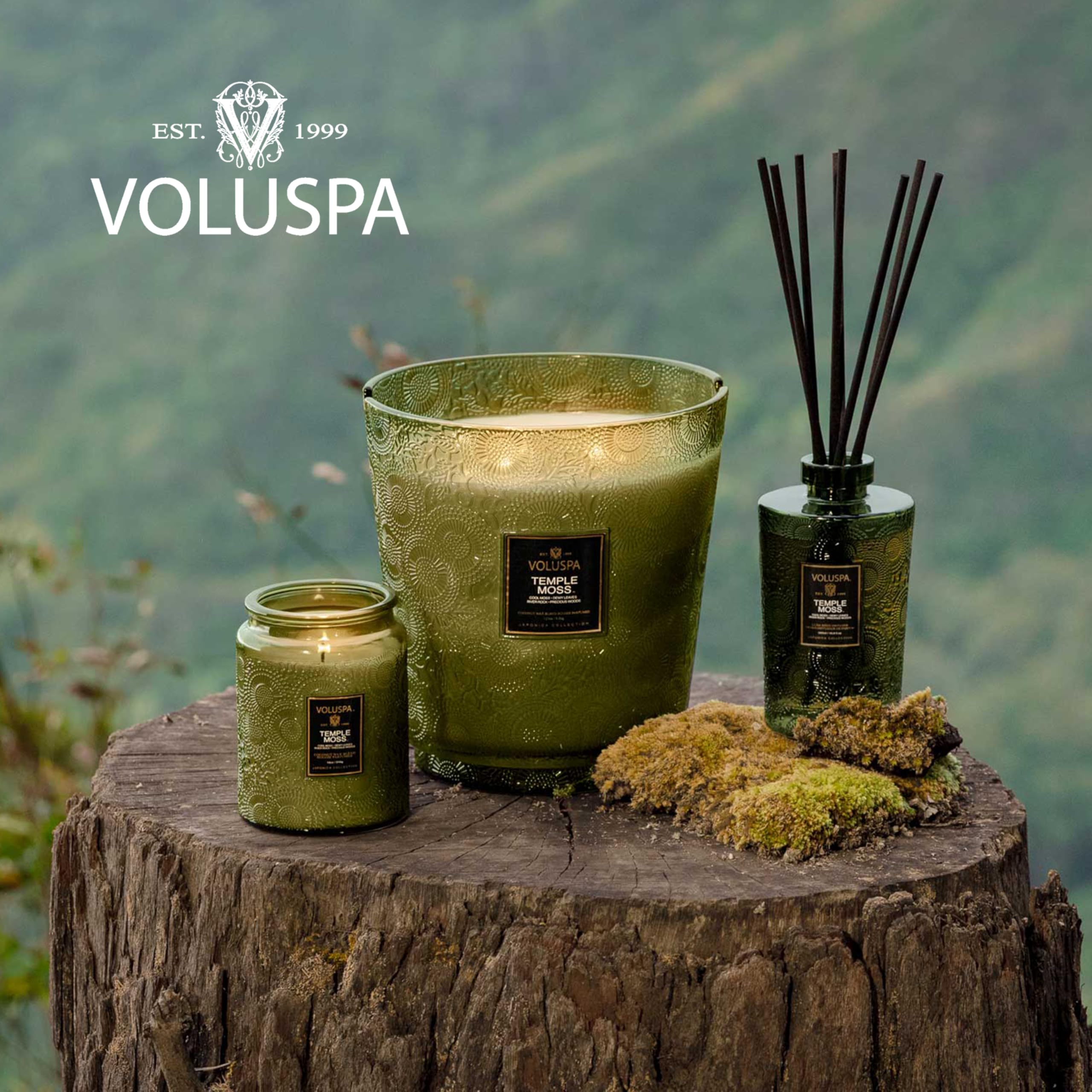 Voluspa Temple Moss, Large Candle Jar, 18oz, Coconut Wax Blend, Scented Candles for Home, 100 Hour Burn Time, Handcrafted in the USA