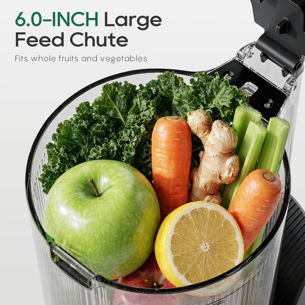 Canoly 3-in-1 Cold Press Juicer C16, Makes Juice & Sorbet & Nut Milk