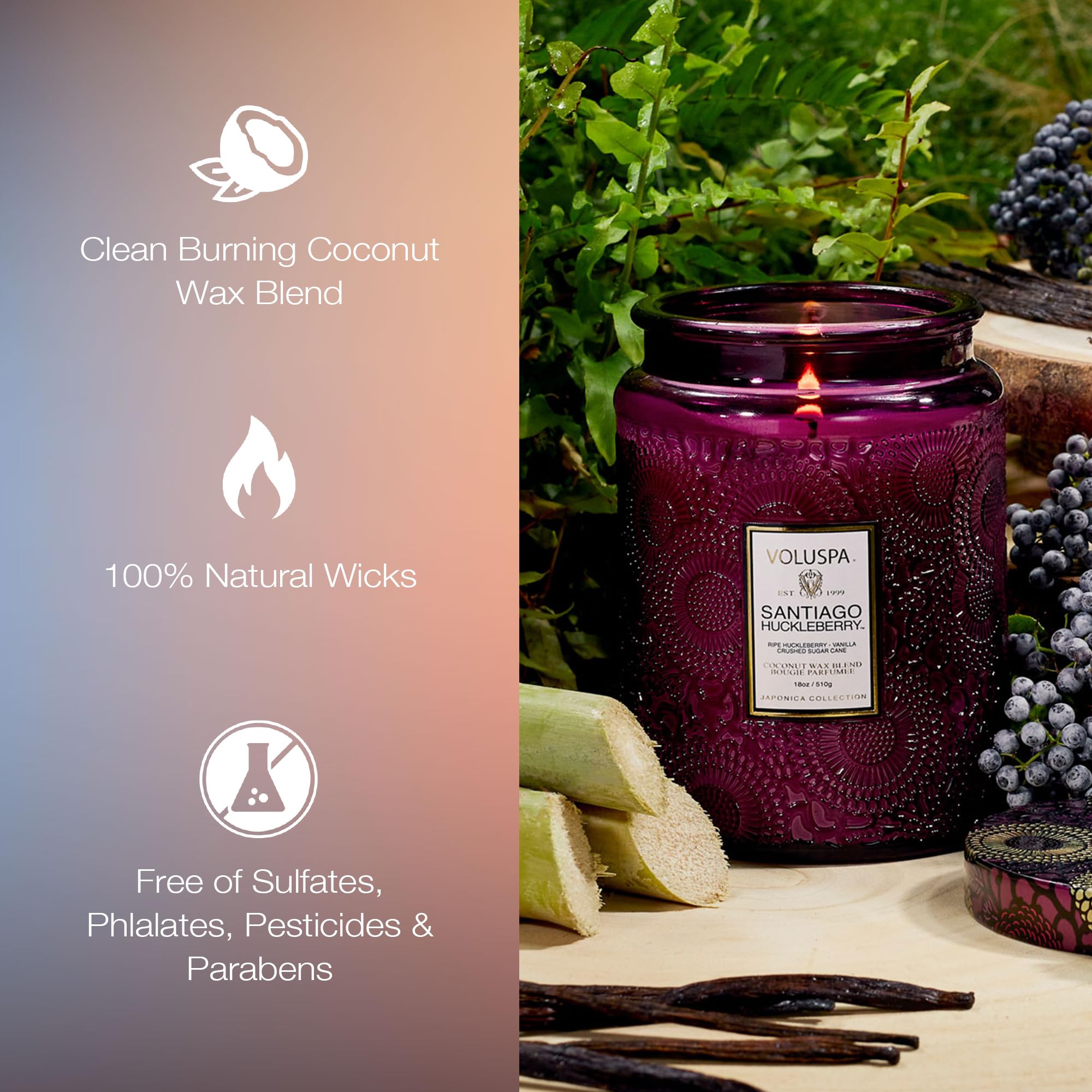 Voluspa Santiago Huckleberry Large Scented Candle Jar 18 Oz, 100 Hr Burn