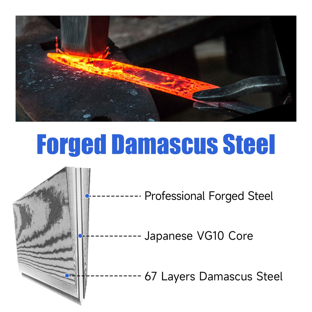 Sunnecko Damascus Paring Knife,Japanese VG10 Core Steel Damascus Fruit Knife,Professional Razor Sharp Small Kitchen Knives with Knives Sharpner