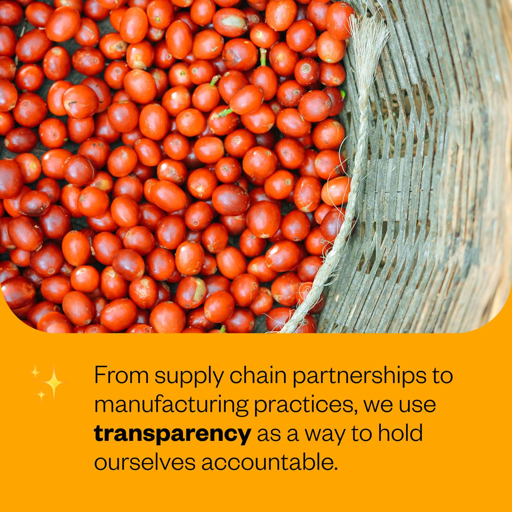 Counter Culture Whole Bean Organic Coffee (Apollo - Medium Roast) Citrus, Floral & Silky - Sustainably Sourced - B Corp Certified - Organic Coffee Beans - Kosher - Gluten Free & Nut Free - 12oz Bag