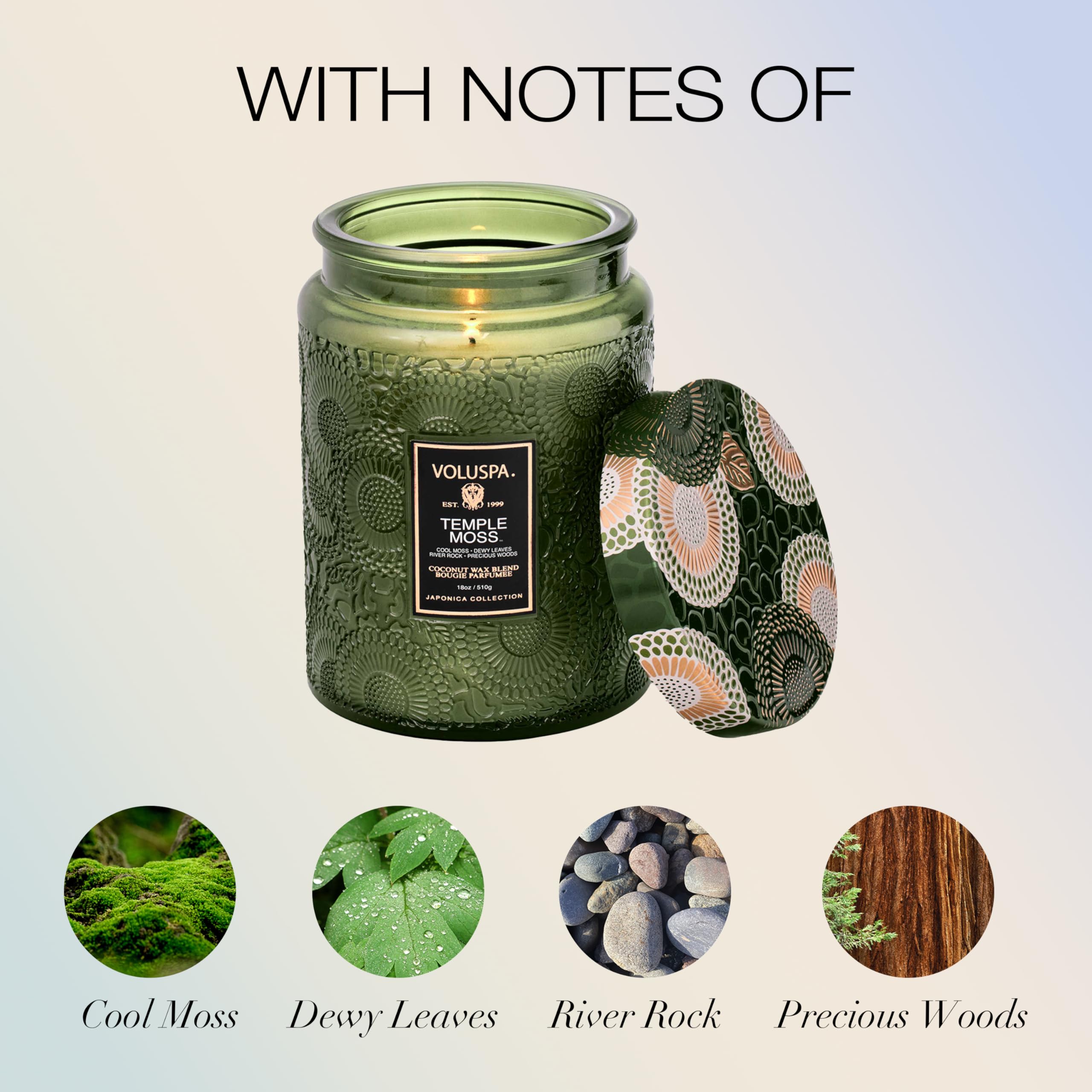 Voluspa Temple Moss, Large Candle Jar, 18oz, Coconut Wax Blend, Scented Candles for Home, 100 Hour Burn Time, Handcrafted in the USA