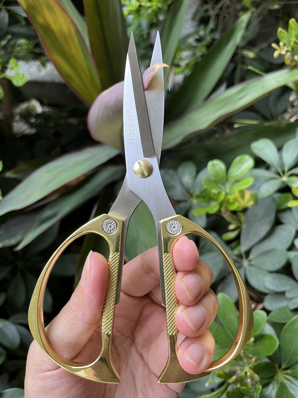 Horsvill Indoor Plant Shears and Garden Scissors, Houseplant Shears Made of Japan SK5 Stainless Steel, Flowers Herbs and Plant Cutters, Clippers, Trimmers, Loppers, Bonsai Plant Pruning Scissors