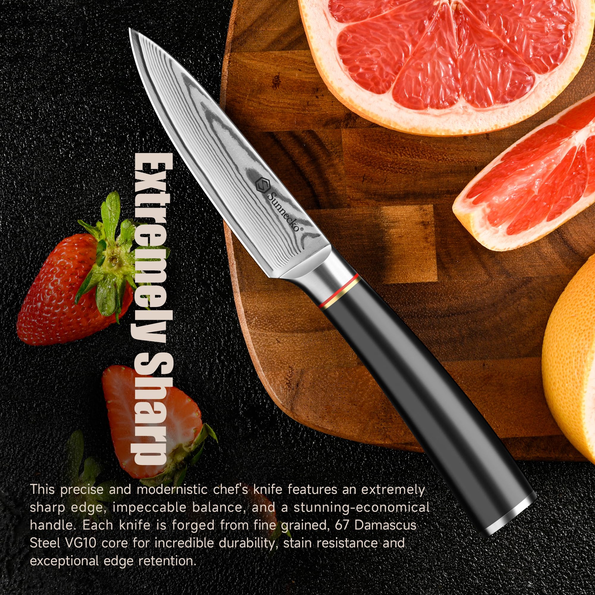 Sunnecko Damascus Paring Knife,Japanese VG10 Core Steel Damascus Fruit Knife,Professional Razor Sharp Small Kitchen Knives with Knives Sharpner