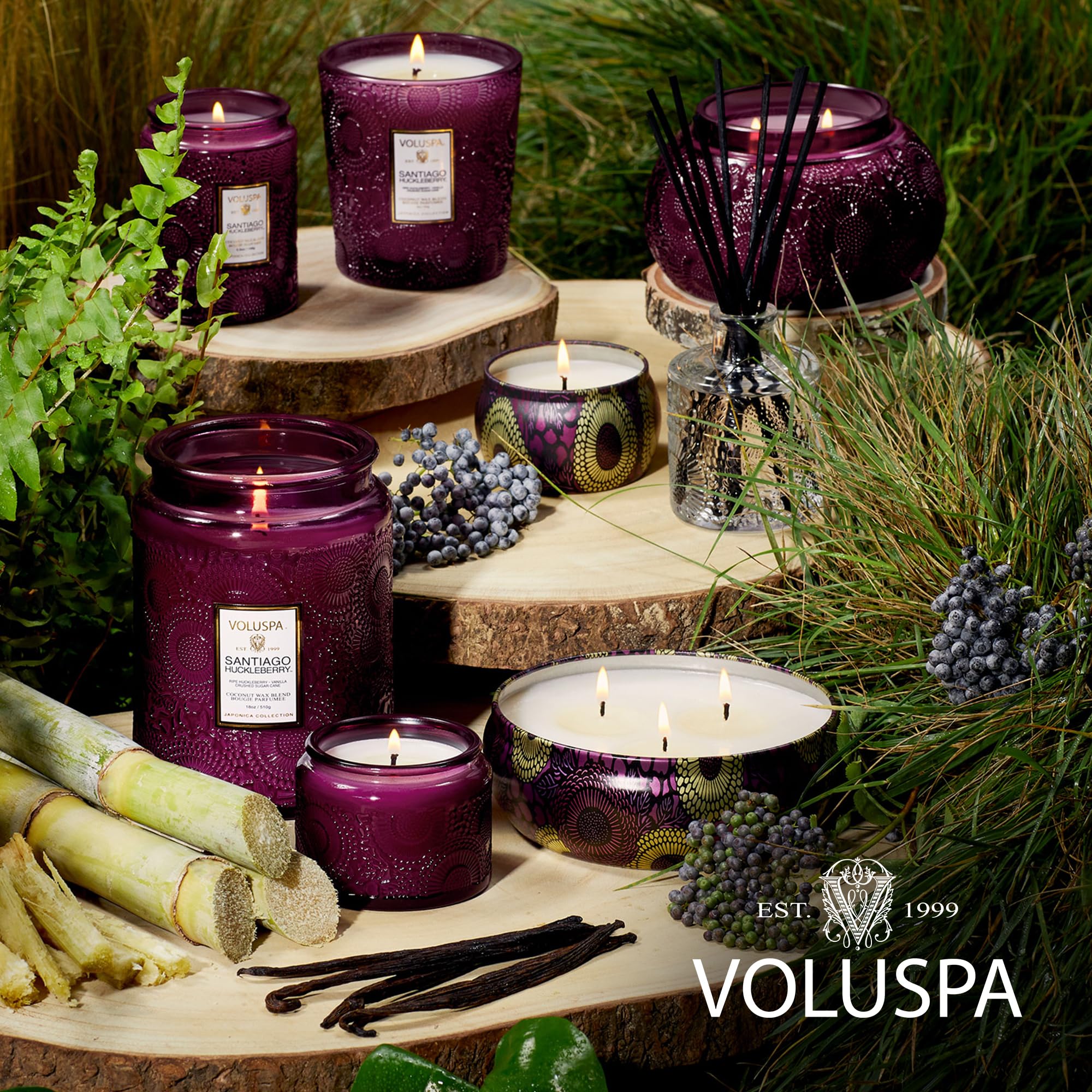 Voluspa Santiago Huckleberry Large Scented Candle Jar 18 Oz, 100 Hr Burn
