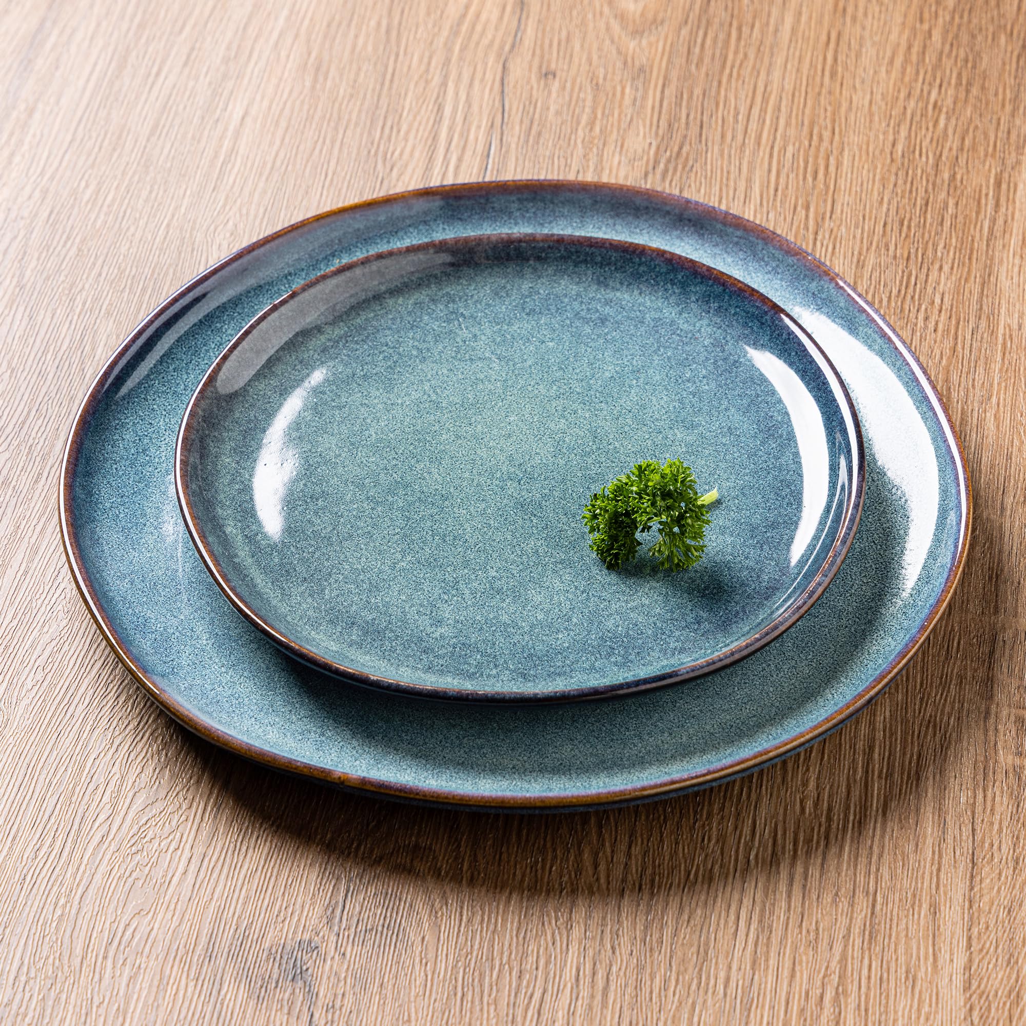 AmorArc Ceramic Dinnerware Sets for 8, 24Pcs Plates and Bowls Sets Dishes