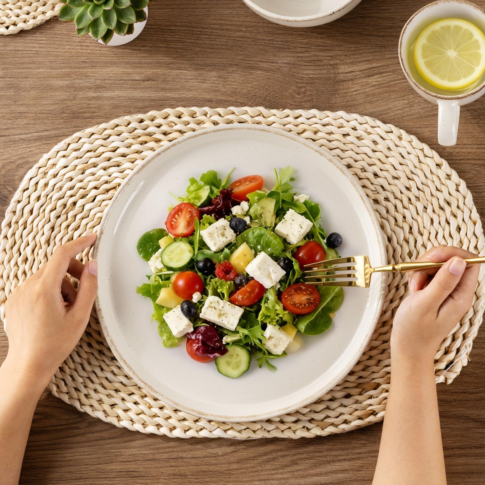 AmorArc Dinnerware Sets for 6, 24 Pieces Ceramic Plates and Bowls Set