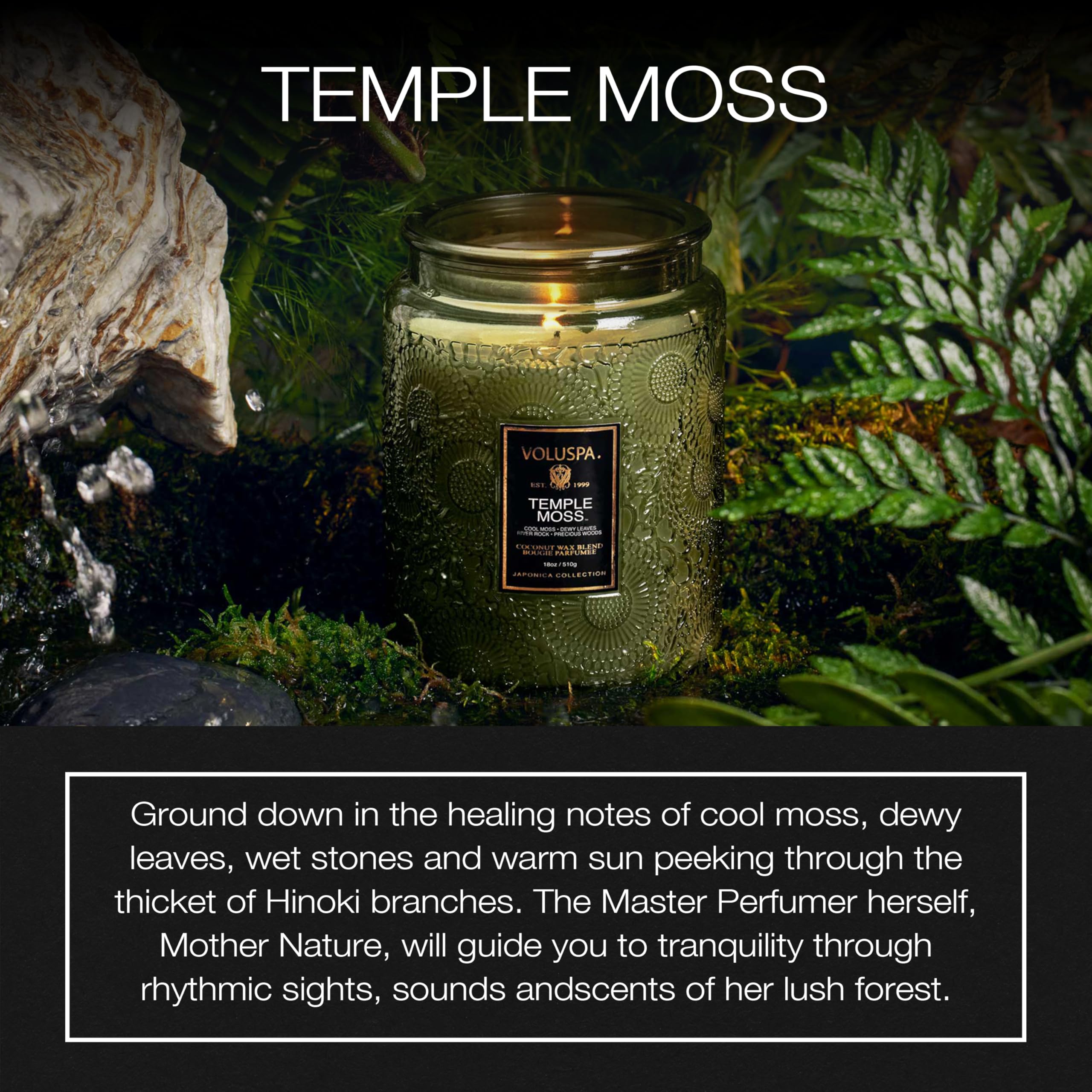 Voluspa Temple Moss, Large Candle Jar, 18oz, Coconut Wax Blend, Scented Candles for Home, 100 Hour Burn Time, Handcrafted in the USA
