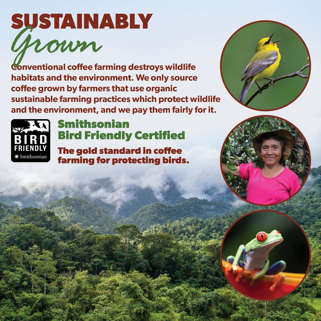 Java Planet Low Acid Organic Whole Bean Coffee, Guatemalan, Med Roast 5lb