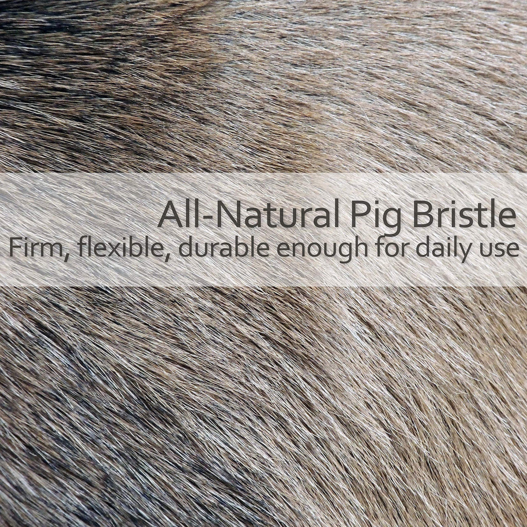 Redecker Natural Pig Bristle Soda Bottle Brush, 15-Inches, Flexible Wire Handle, Made in Germany